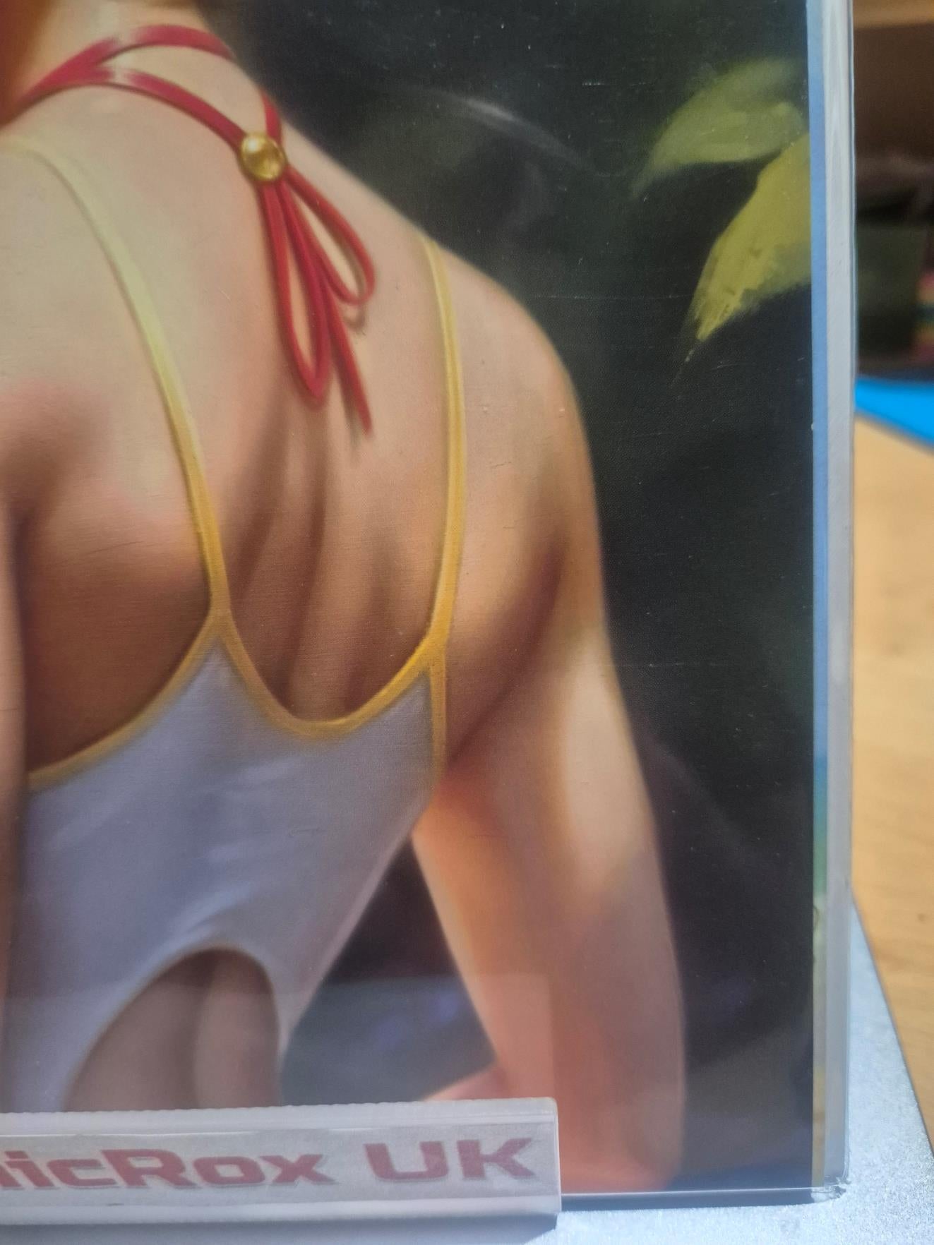 G’nort's Illustrated Swimsuit Edition Will Jack Variant Cover 2023 DC Gnorts NM/