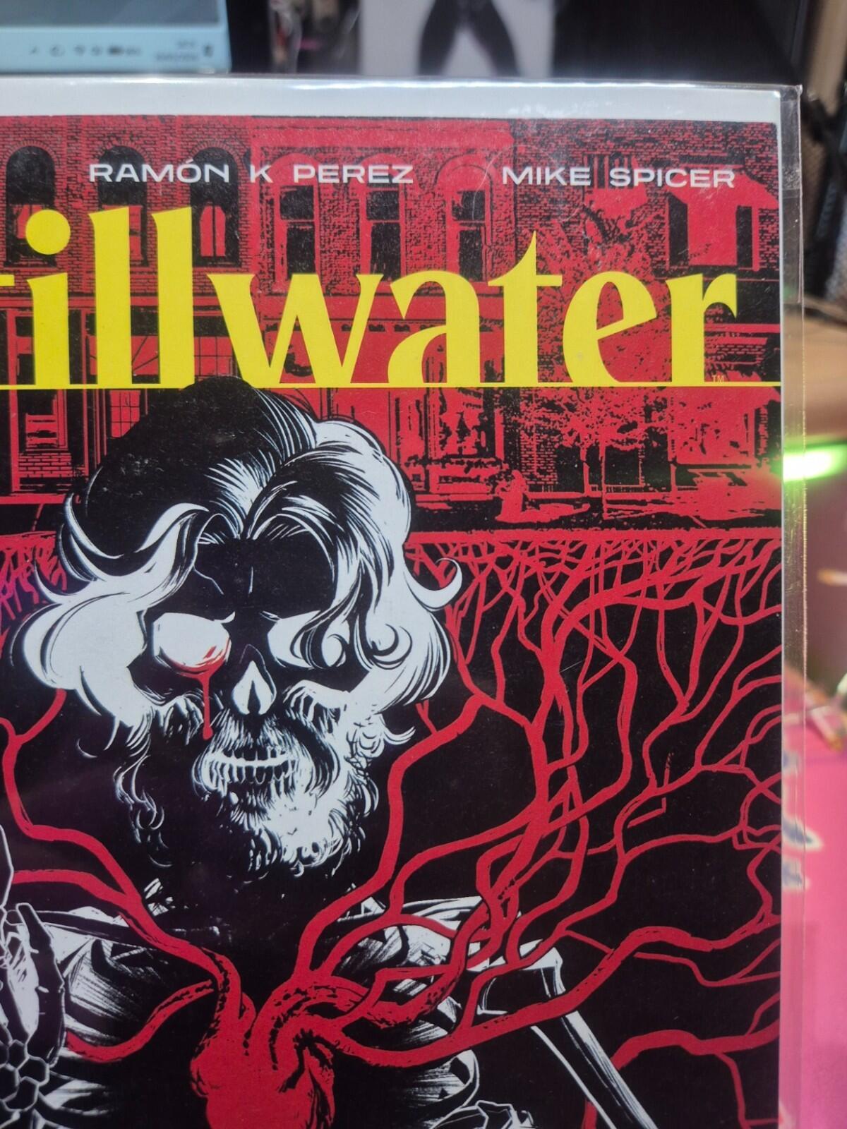 Stillwater #18, 2023, Skybound, Scarce Perez Cover, VF/NM or Higher