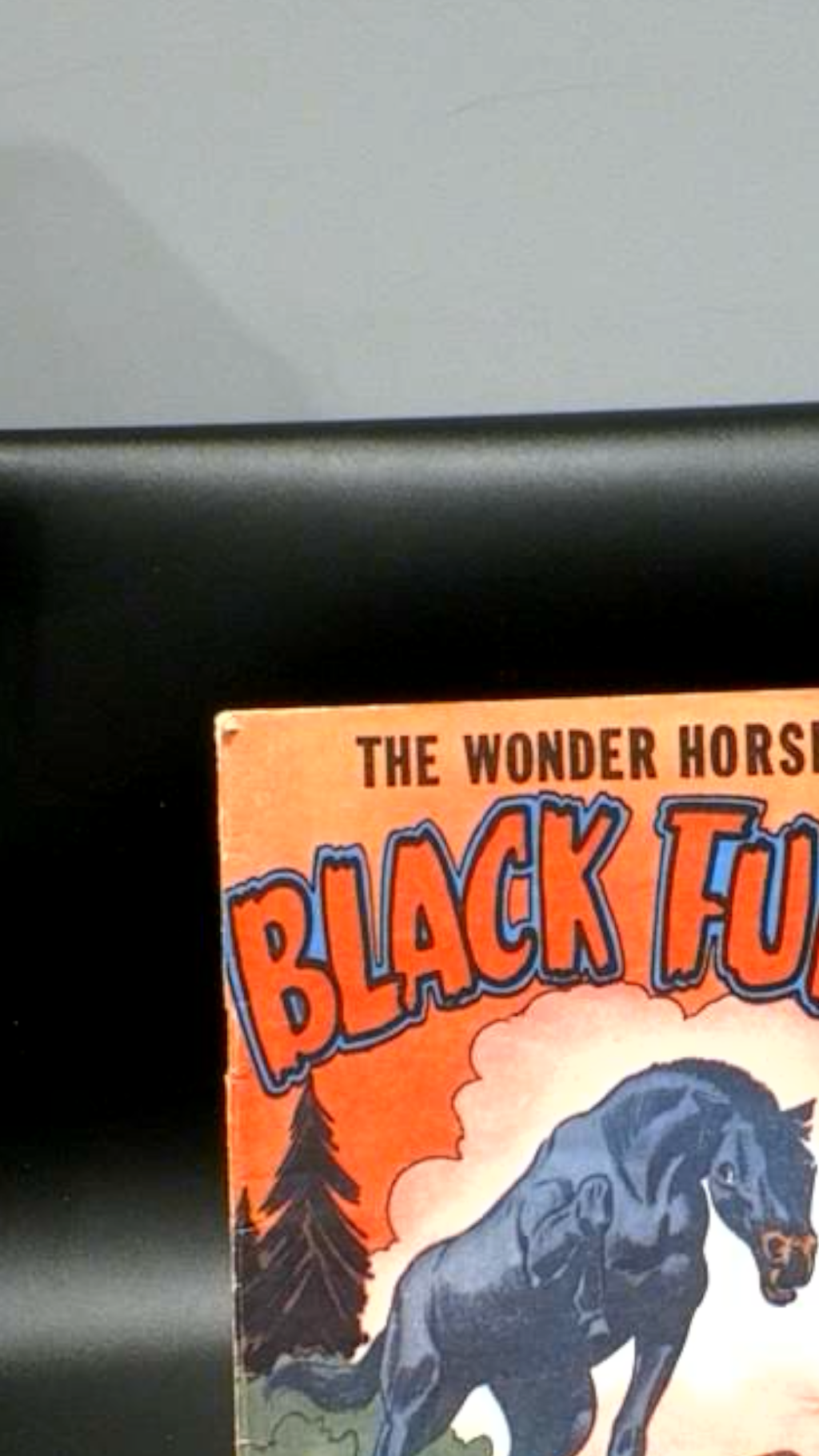 Black Fury #3 World Distributors - 1955 - FN-