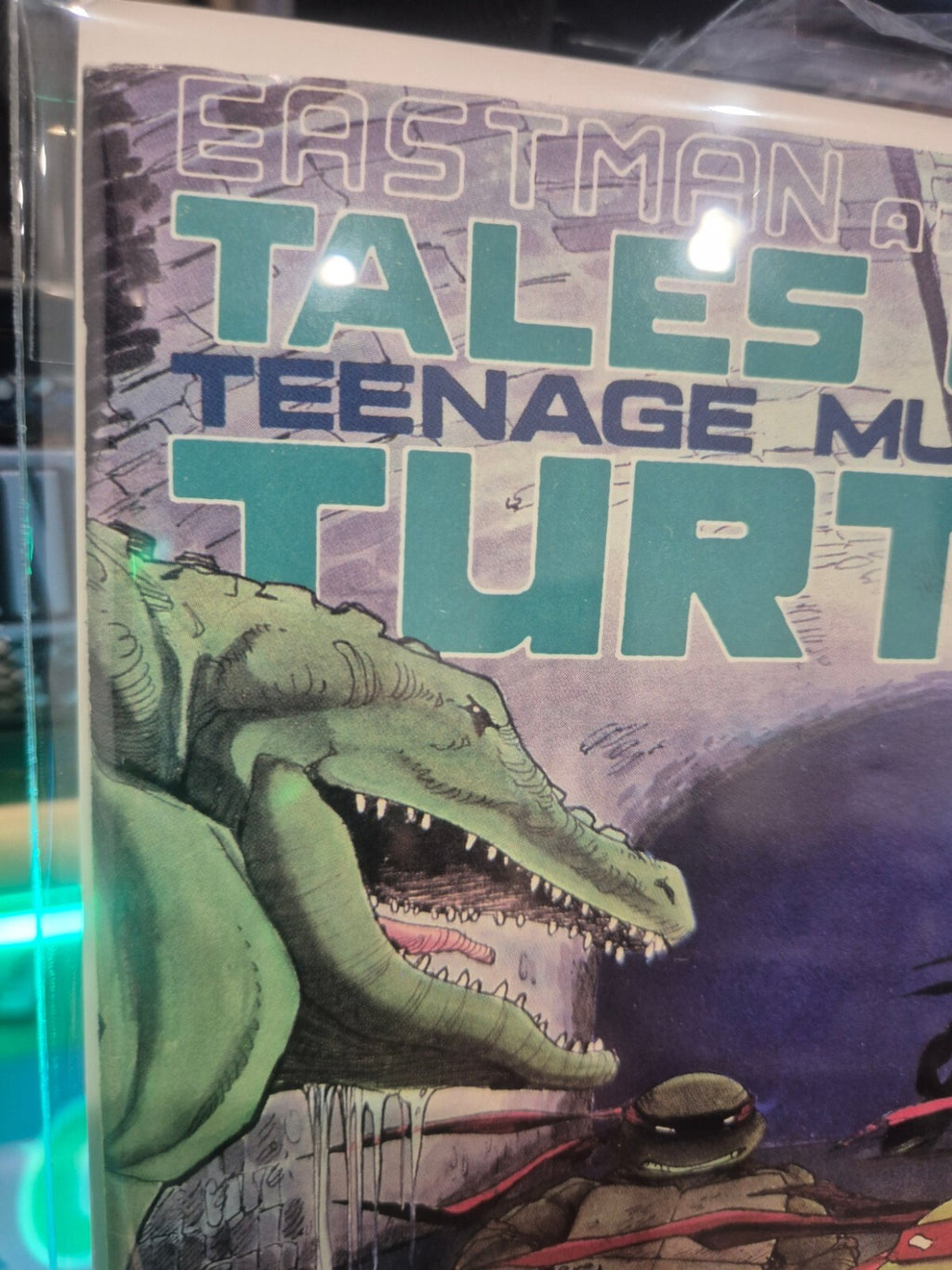 Teenage Mutant Ninja Turtles #6, 1988, 1st Leatherhead, NM 9.4+