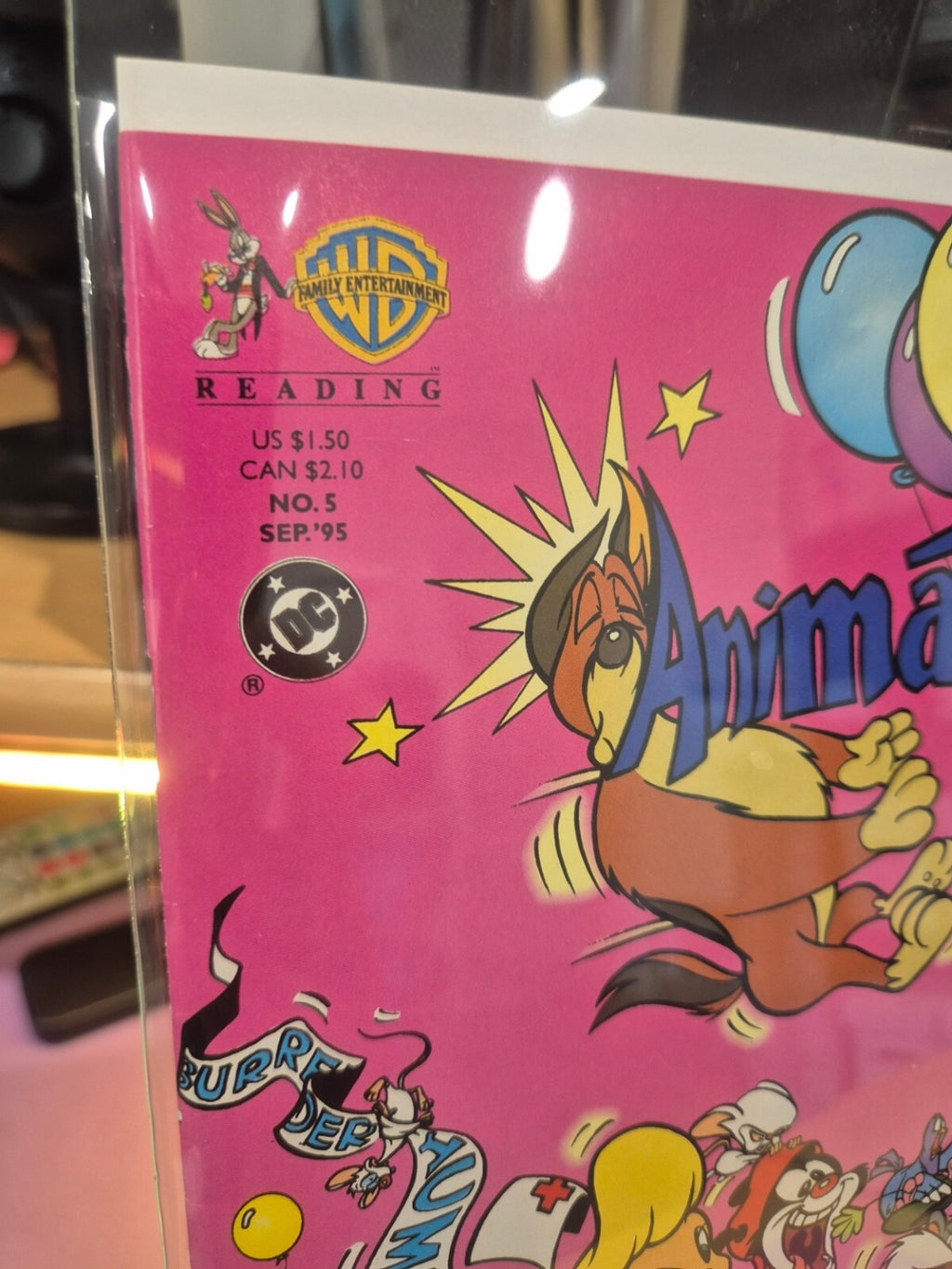 Animaniacs #5, 1995, Very High Grade, 9.8 Contender