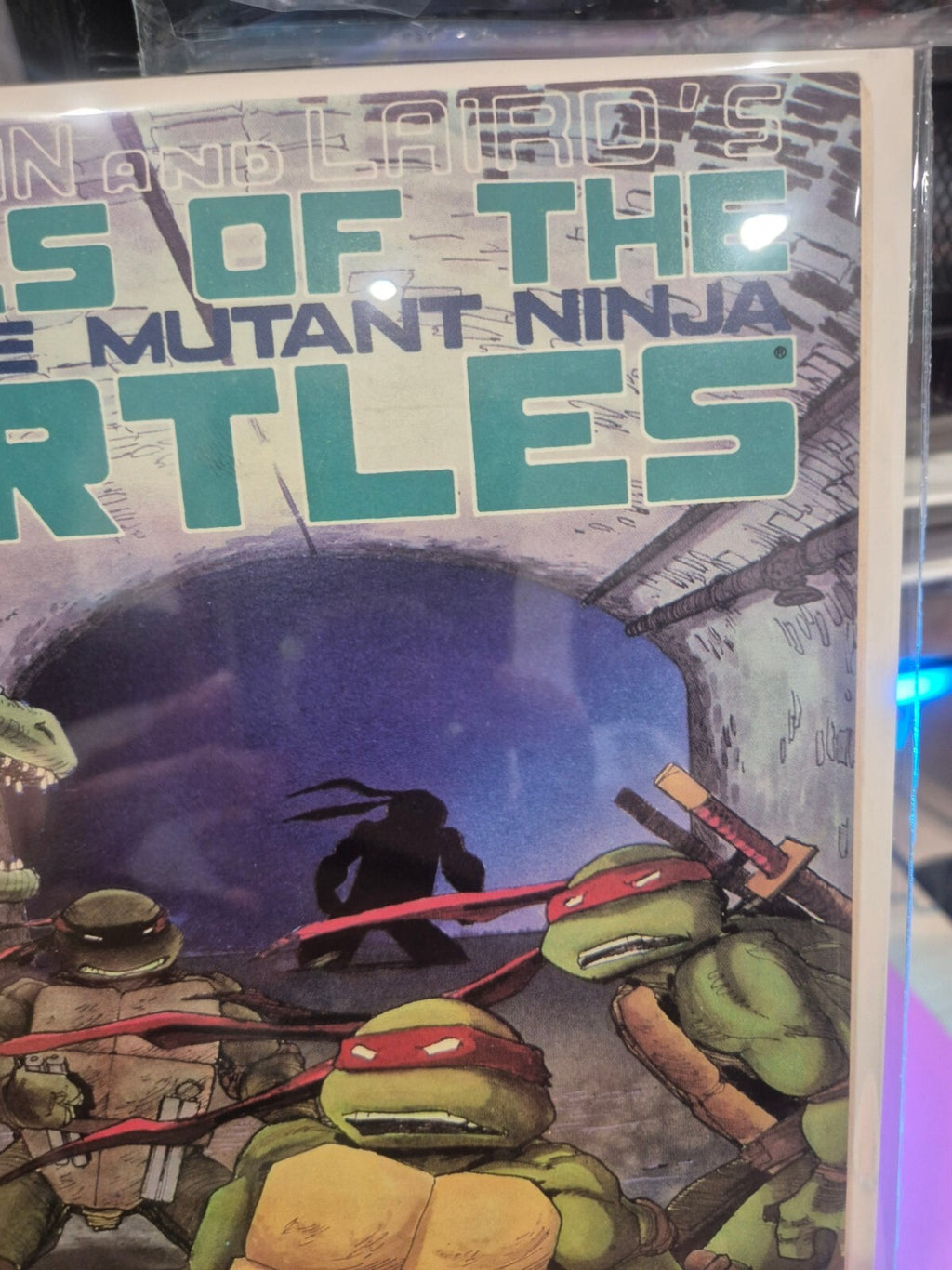 Teenage Mutant Ninja Turtles #6, 1988, 1st Leatherhead, NM 9.4+
