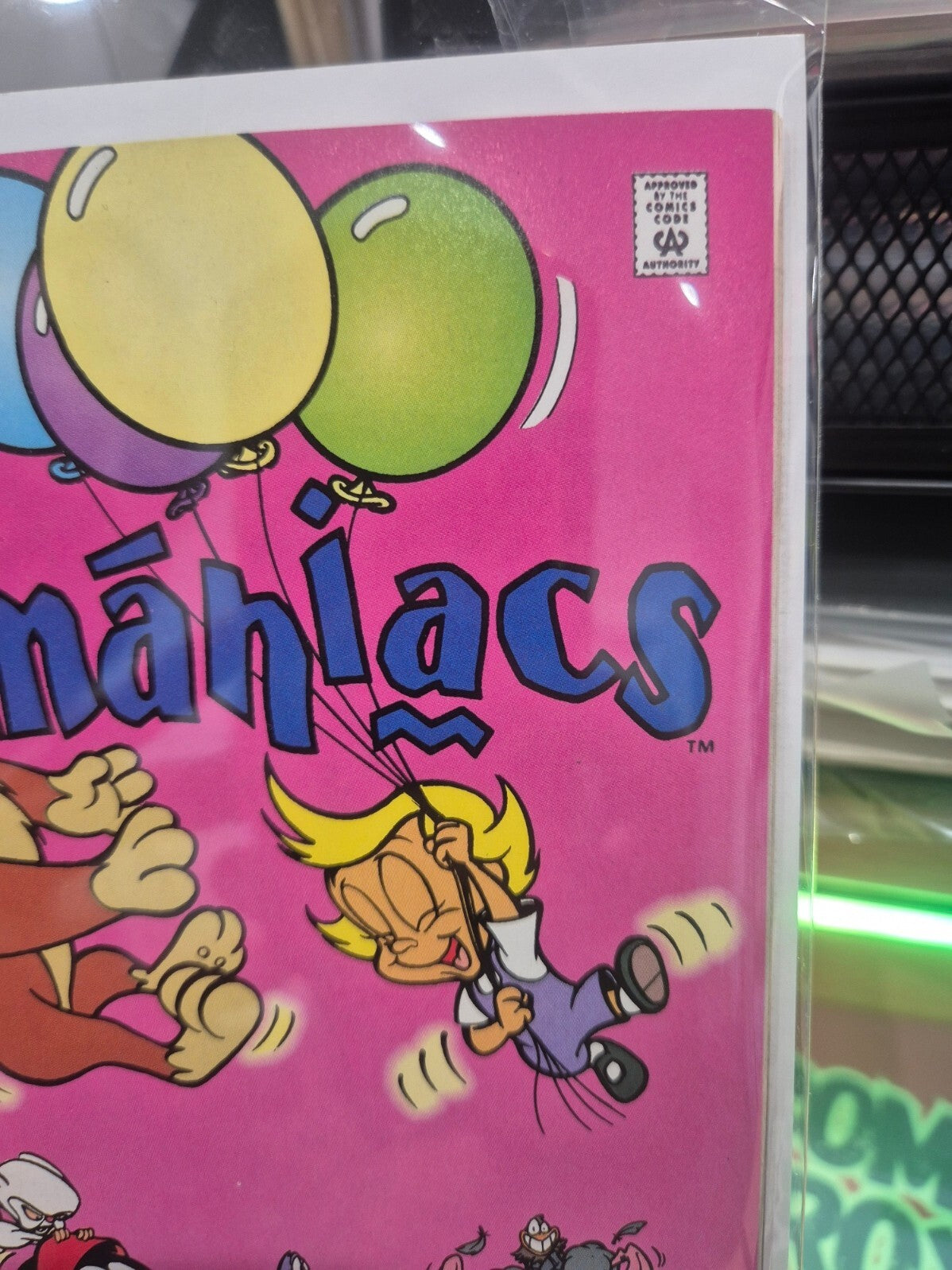 Animaniacs #5, 1995, Very High Grade, 9.8 Contender
