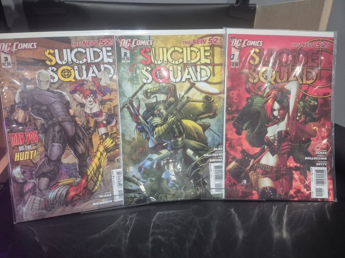 Suicide Squad New 52 Set, #1 to 13 plus 15 & 17 (15 books) All NM