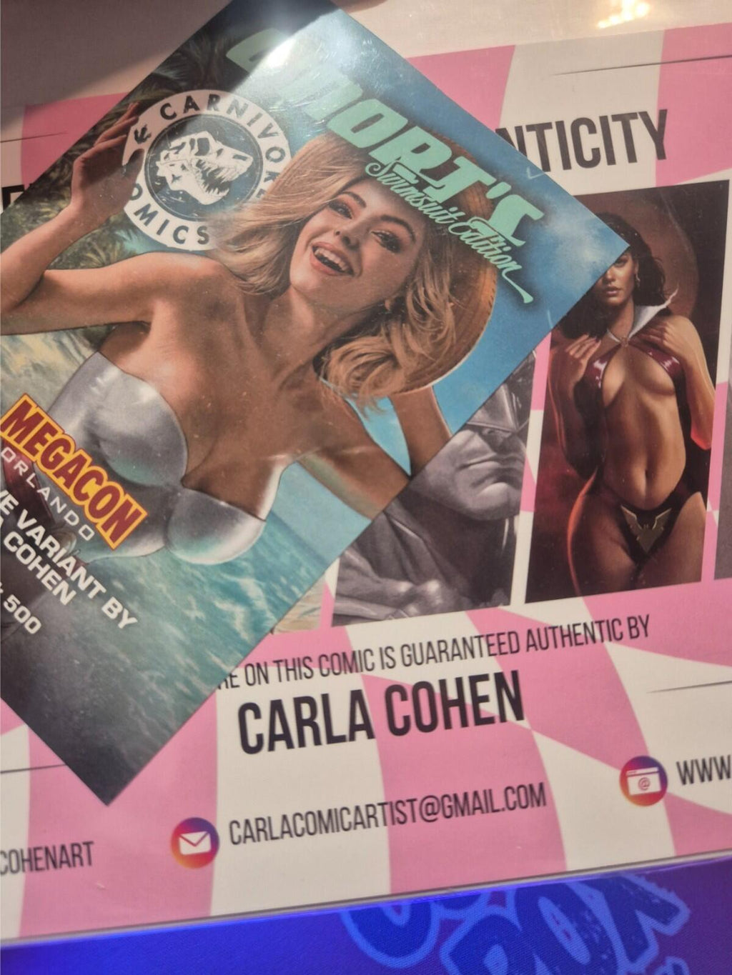 G’nort’s Swimsuit Ed #1 SIGNED Carla Cohen COA Power Girl Exclusive Ltd 500